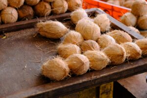 pexels photo 35963202 35963202 1