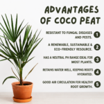 Coco Peat Blocks cocopeat 01