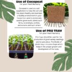 Coco Peat Blocks cocopeat 05