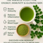 moringa powder 04