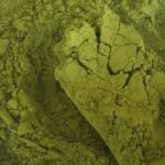moringa powder 05