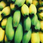 A vibrant display of fresh ripe and unripe bananas stacked in natural light.