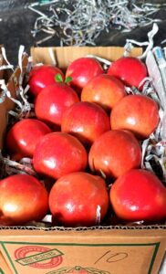 pomegranate 02
