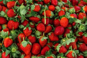 A vibrant close-up of fresh, ripe strawberries showcasing their bright red color.