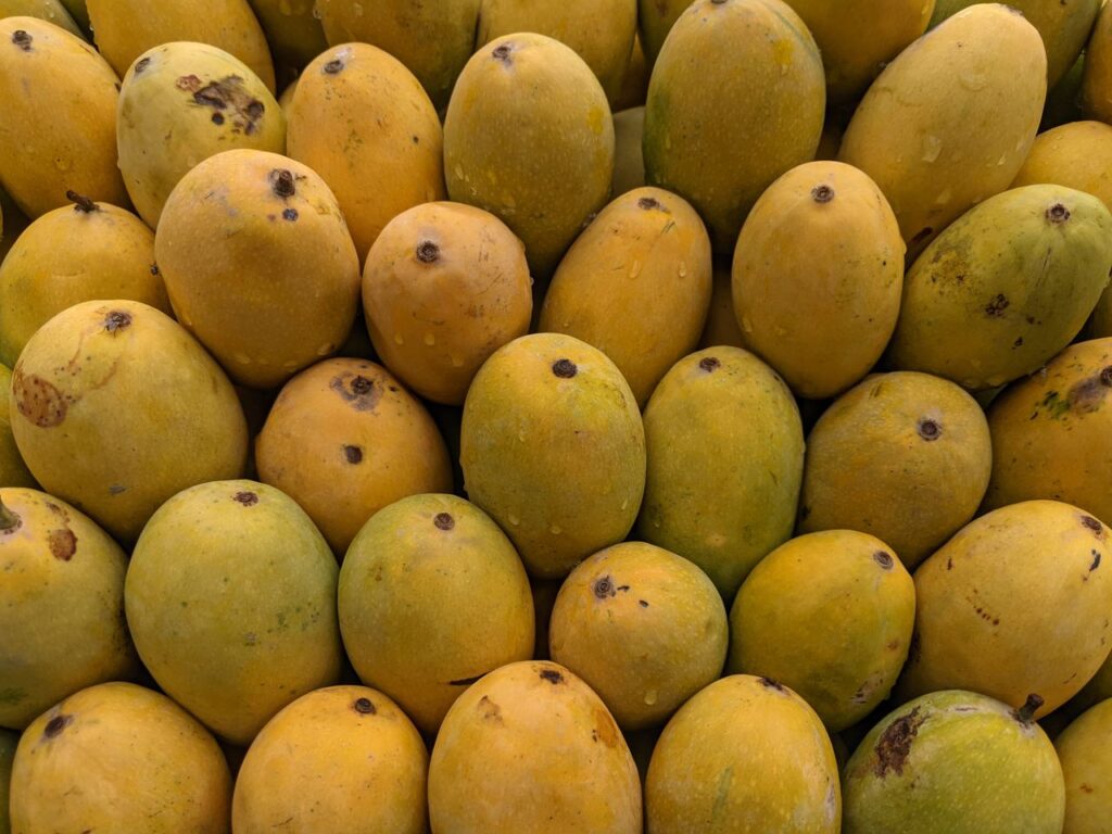 A vibrant display of ripe mangoes stacked at a market, highlighting freshness and abundance.