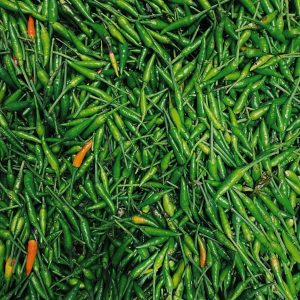 green chillie02