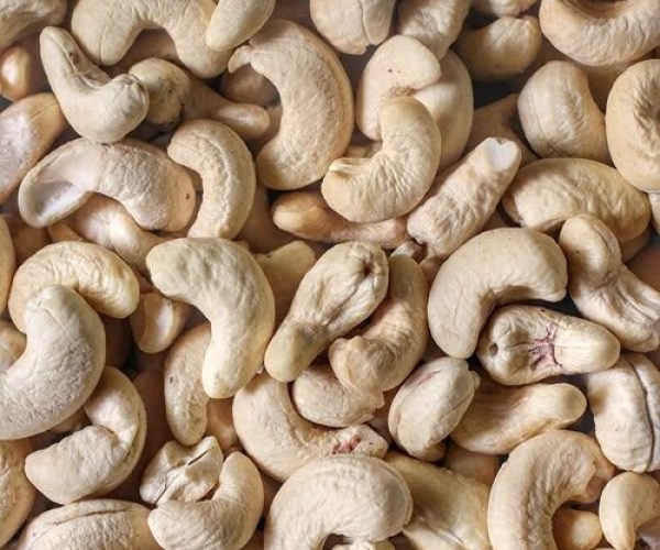 cashew