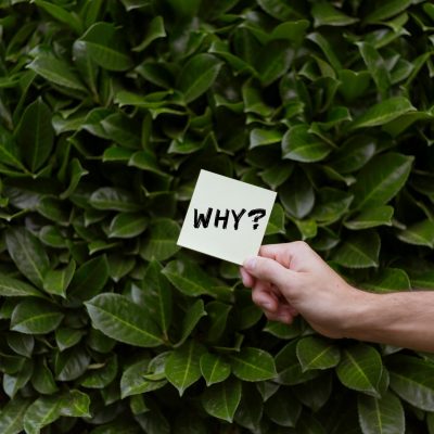 A hand holding a note with the word 'WHY?' against a backdrop of green leaves.