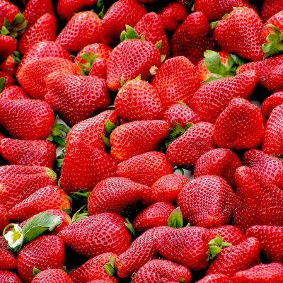 A close-up of plump, fresh strawberries showcasing vivid red colors and lush green stems.